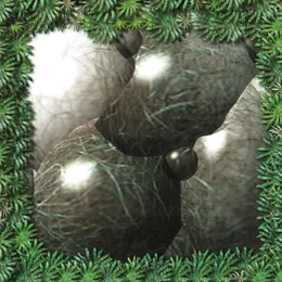 Песни von Волосатое стекло – Album Cover