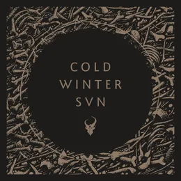 Cold Winter Sun von Demon Hunter – Cover