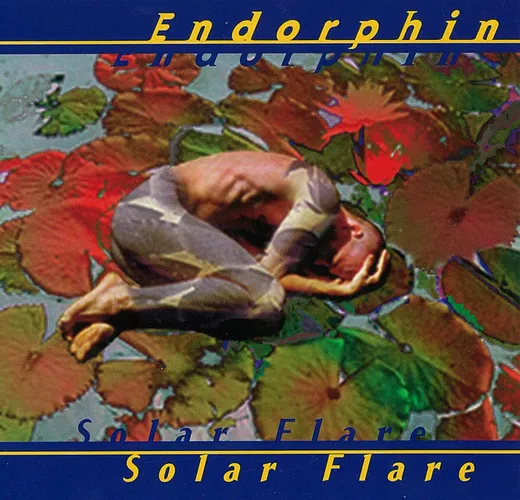 Solar Flare
