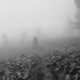 St. Phenome Alley von Thaw – Album Cover