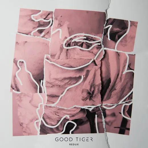 Such a Kind Stranger (redux) von Good Tiger – Cover