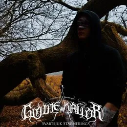 Svartsjuk stagnering von Glädjekällor – Cover