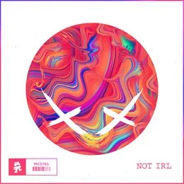 Not IRL von Modestep – Cover
