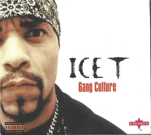 Gang Culture