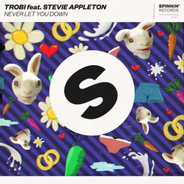 Never Let You Down von Trobi – Album Cover