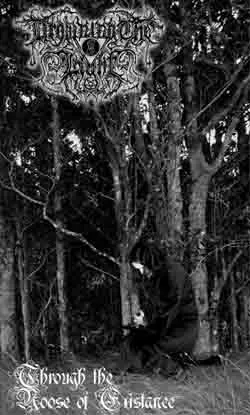Through the Noose of Existance von Drowning the Light – Album Cover