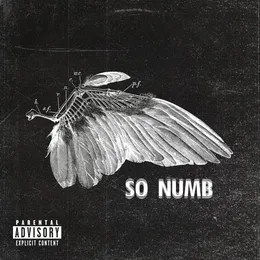 So Numb von TX2 – Cover