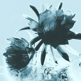 Flower Shop4 von Grizzly – Album Cover