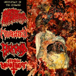 Onchyophagy in the Diseased von Flax – Album Cover
