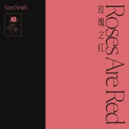Roses Are Red von Sam Smith – Cover