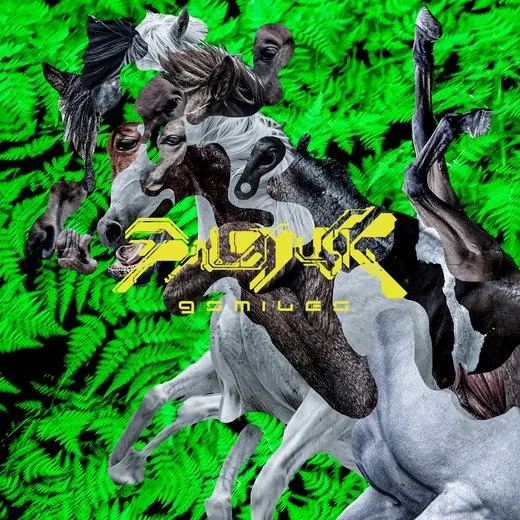 9 SMILES von Paledusk – Album Cover