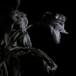 As We Cup Our Hands and Drink From the Stream of Our Ache von Cavernlight – Album Cover