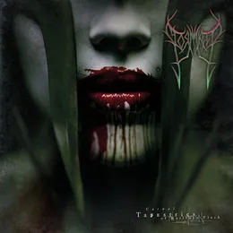 Carnal Tapestries of Nailtorn Flesh von Stormkeep – Album Cover
