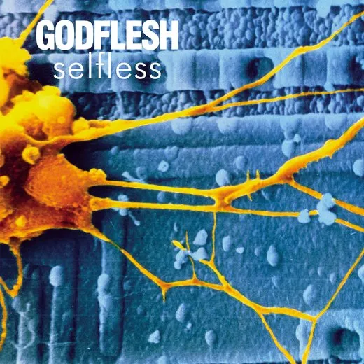 Selfless von Godflesh – Album Cover