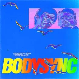 Birds von Bodysync – Cover