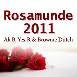 Rosamunde 2011 von Ali B – Album Cover