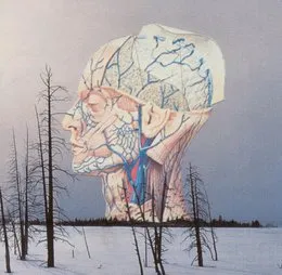 Songs for a Dead Pilot / Christmas von Low – Album Cover