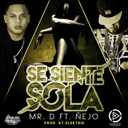 Se siente sola von Ñejo – Cover