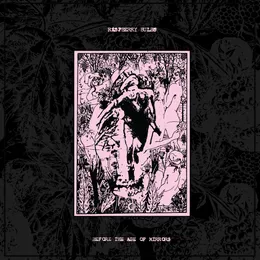 Before the Age of Mirrors von Raspberry Bulbs – Album Cover