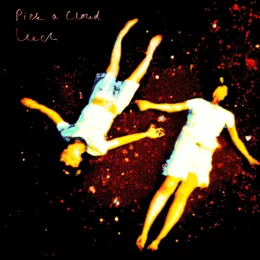 Pick a Cloud von Leech – Cover