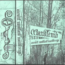 Ancient Woodland Wanderings von Wandlimb – Album Cover