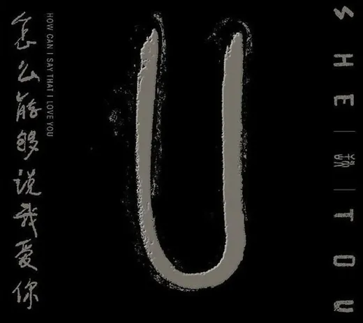 怎么能够说我爱你