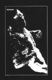 Hinter der Schwelle des Schmerzes von Regnum – Cover