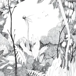 Time whispers von Back and Forth – Album Cover