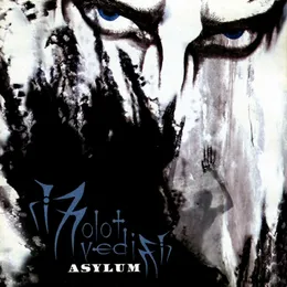 Asylum von Molot Vedim – Album Cover