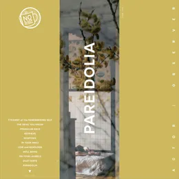 Pareidolia von Actor|Observer – Album Cover