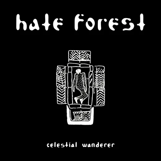 Celestial Wanderer