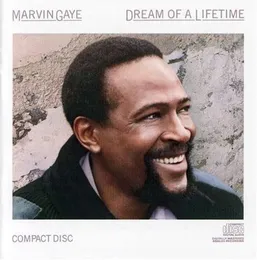 Dream of a Lifetime von Marvin Gaye – Album Cover