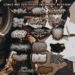 Gored and Defleshed in Traffic Accident von Gymnothorax Javanicus – Album Cover