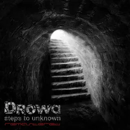 steps to unknown von Drowa – Album Cover