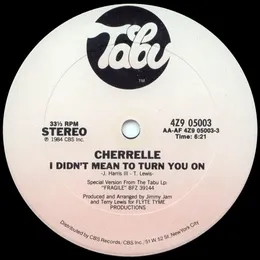 I Didn’t Mean to Turn You On von Cherrelle – Cover