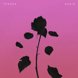 Nadir von TENDER – Cover