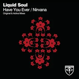 Have You Ever / Nirvana von Liquid Soul – Album Cover