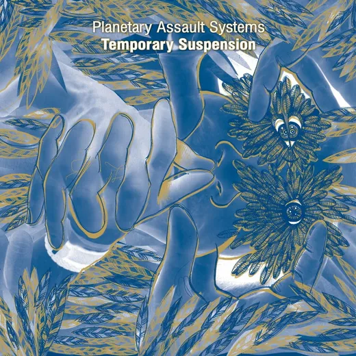 Temporary Suspension