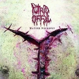 Mature Necropsy von Putrid Offal – Album Cover