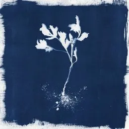 Le Mâne von Feigur – Album Cover