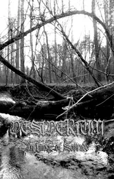 An Image of Solitude von Desiderium – Cover