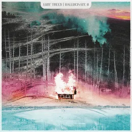 Hallucinate II von Lost Trees – Cover