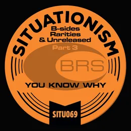 B‐Sides, Rarities & Unreleased, Part 3 von BRS – Cover