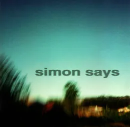 Perfect Example von Simon Says – Album Cover