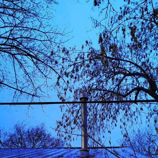 IV