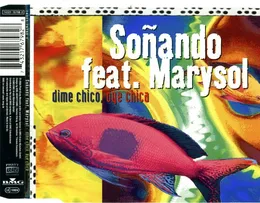 Dime Chico, Oye Chica von Soñando – Cover