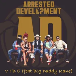 Vibe von Big Daddy Kane – Cover