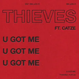 U GOT ME von Party Thieves – Album Cover