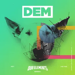 Hey! / Like This von Dub Elements – Cover