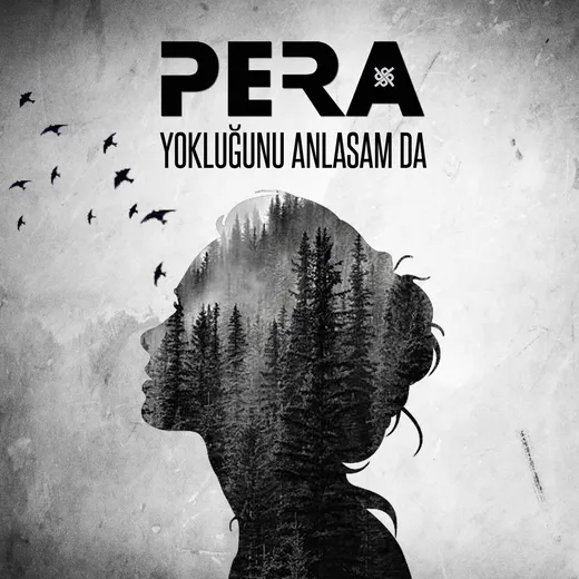 Yokluğunu Anlasam da